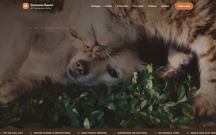 pawsome-resort preview